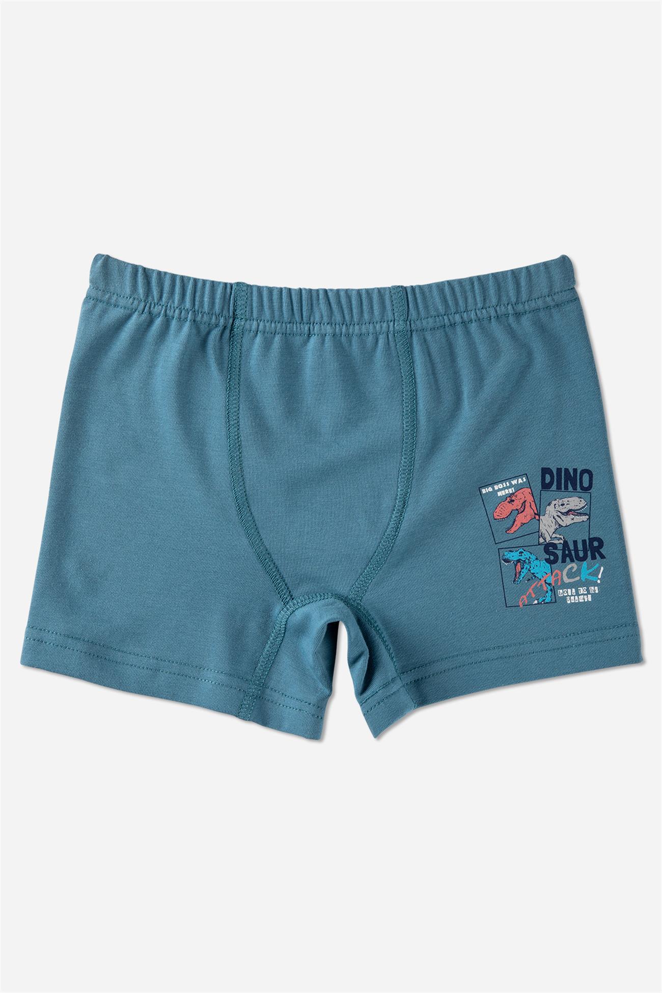 Erkek Çocuk Pamuklu  Baskılı Atlet Boxer Takım 2810 Mavi