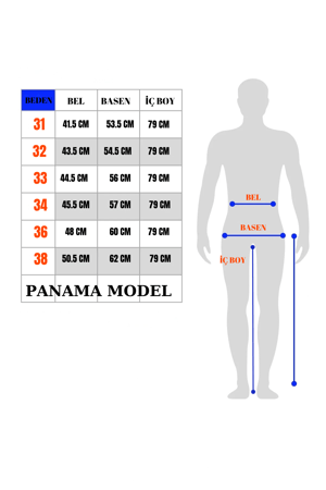 PANAMA MODEL
