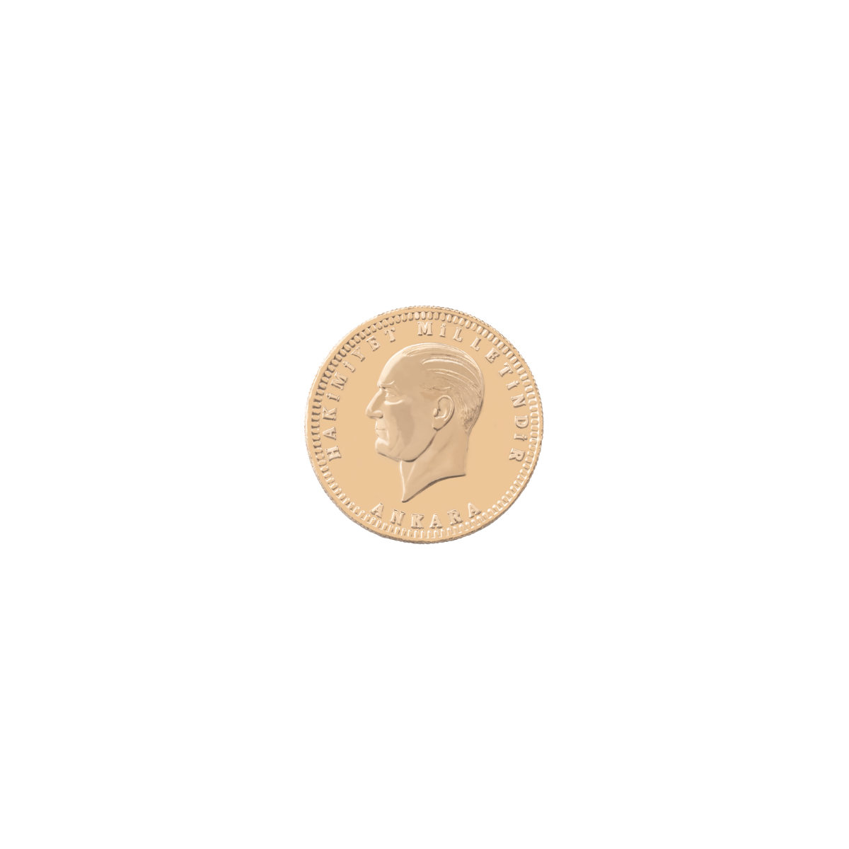 10 Adet Yeni Ata Lira