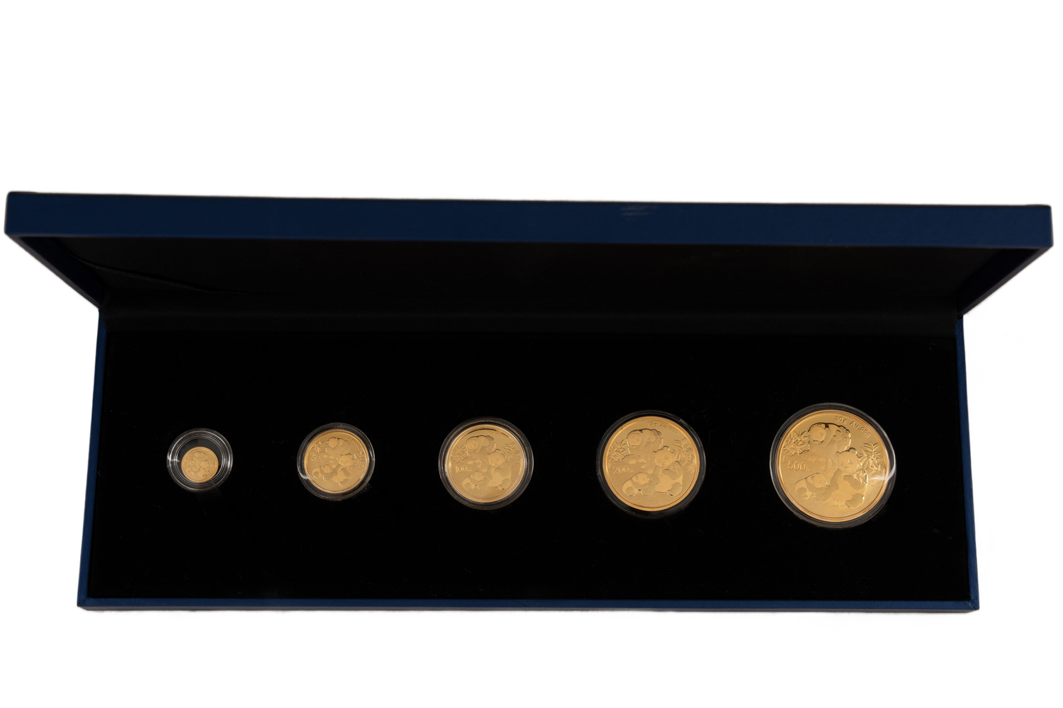 2025 Çin Panda Yılı Hatıra Para 24 Ayar Seri 5 Adet