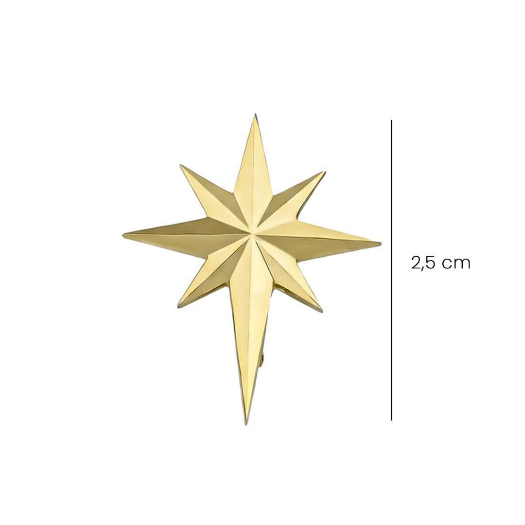 Ema Kuzey Yıldızı Altın Küpe 2,5 Cm