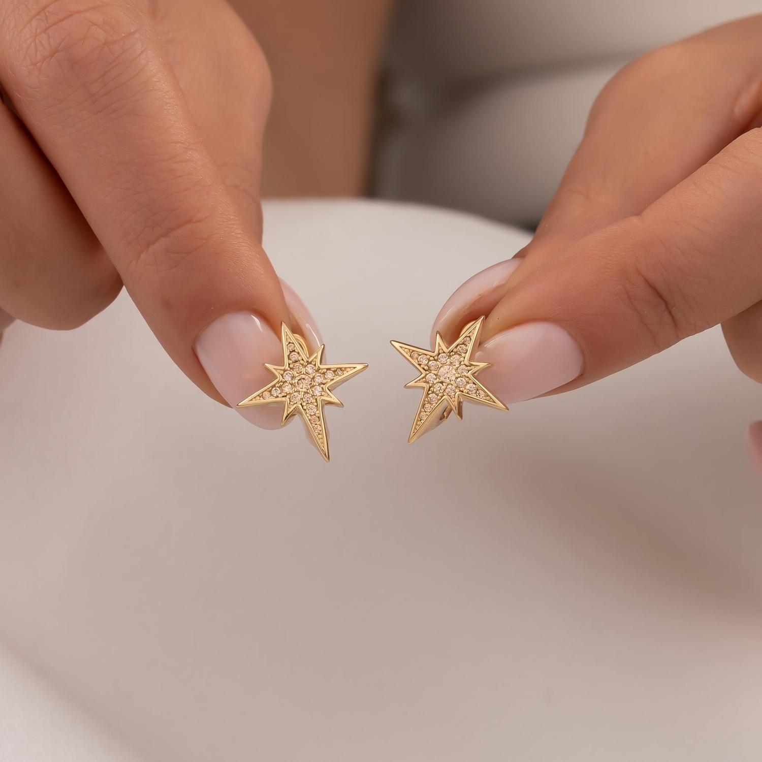 Cetaş Taşlı Kuzey Yıldızı 14 Ayar Altın Küpe