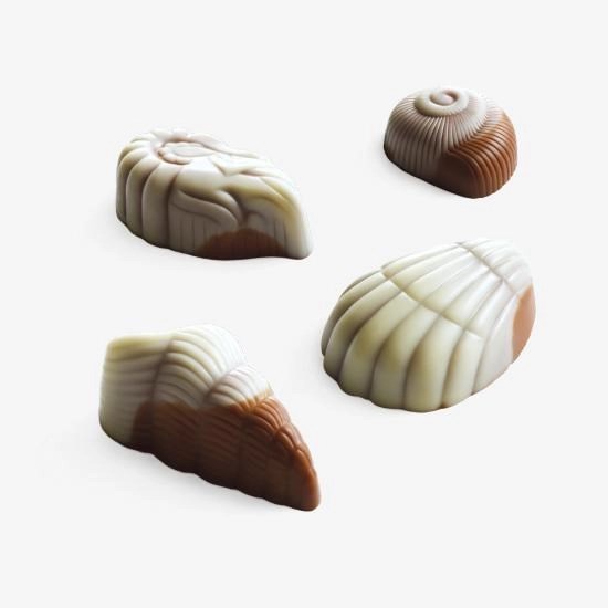 Four Deniz Ürünü Çikolata  37Gr