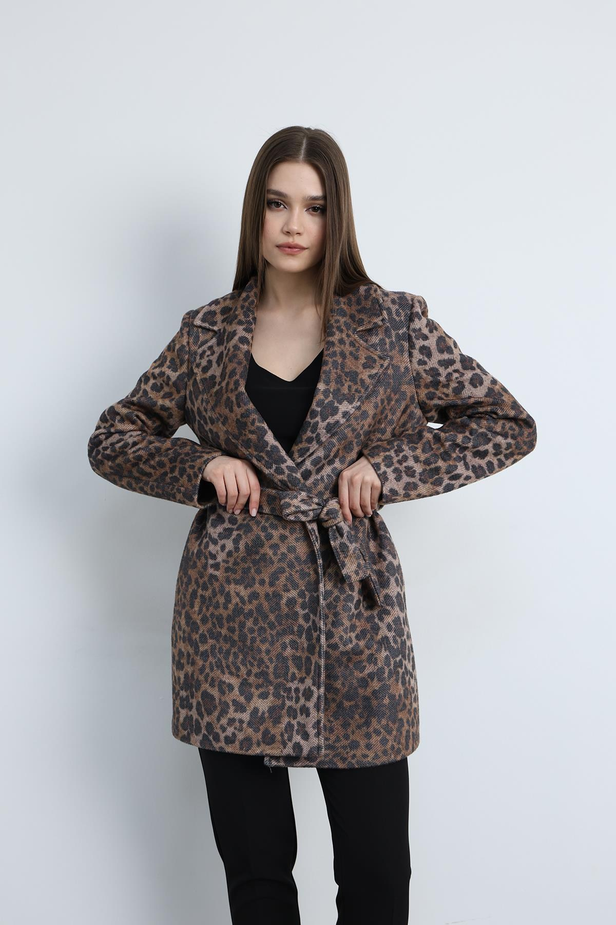 Kısa Kaban Leopar