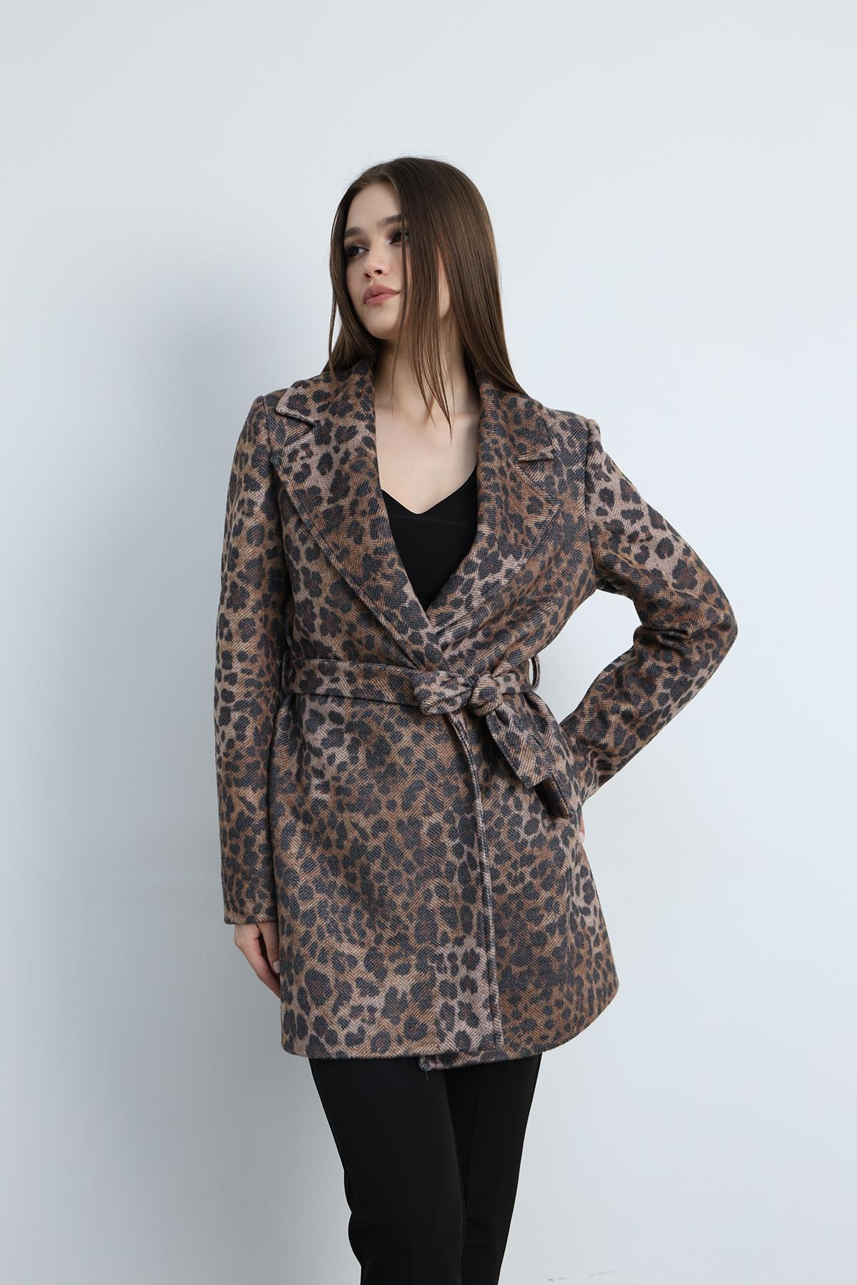 Kısa Kaban Leopar