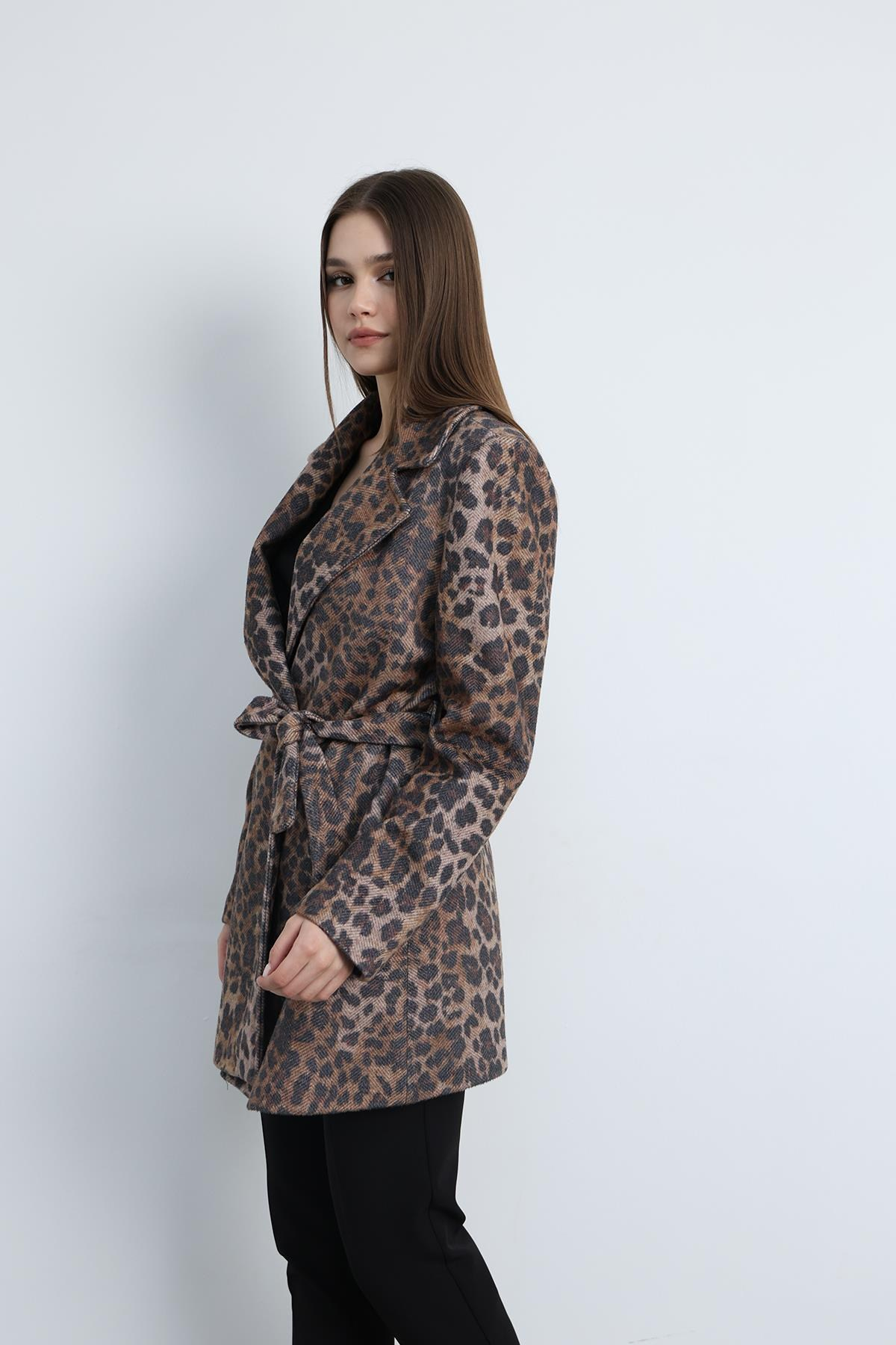 Kısa Kaban Leopar