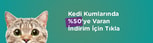 kedi miyavlaması