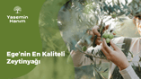 Kaliteli Zeytinyağı