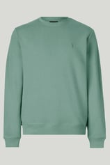 Çağla Renk Basic Bisiklet Yaka Relaxed Regular Erkek Sweatshirt - ÇAĞLA