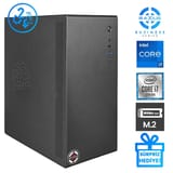 RaXius Business B1 i7 UHD770-137 i7-13700 Masaüstü… 2