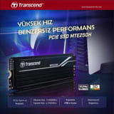 Transcend TS1TMTE250H 1TB M.2 2280 Gen4x4 NVMe Metal… 2