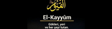 El Kayyüm Anlamı