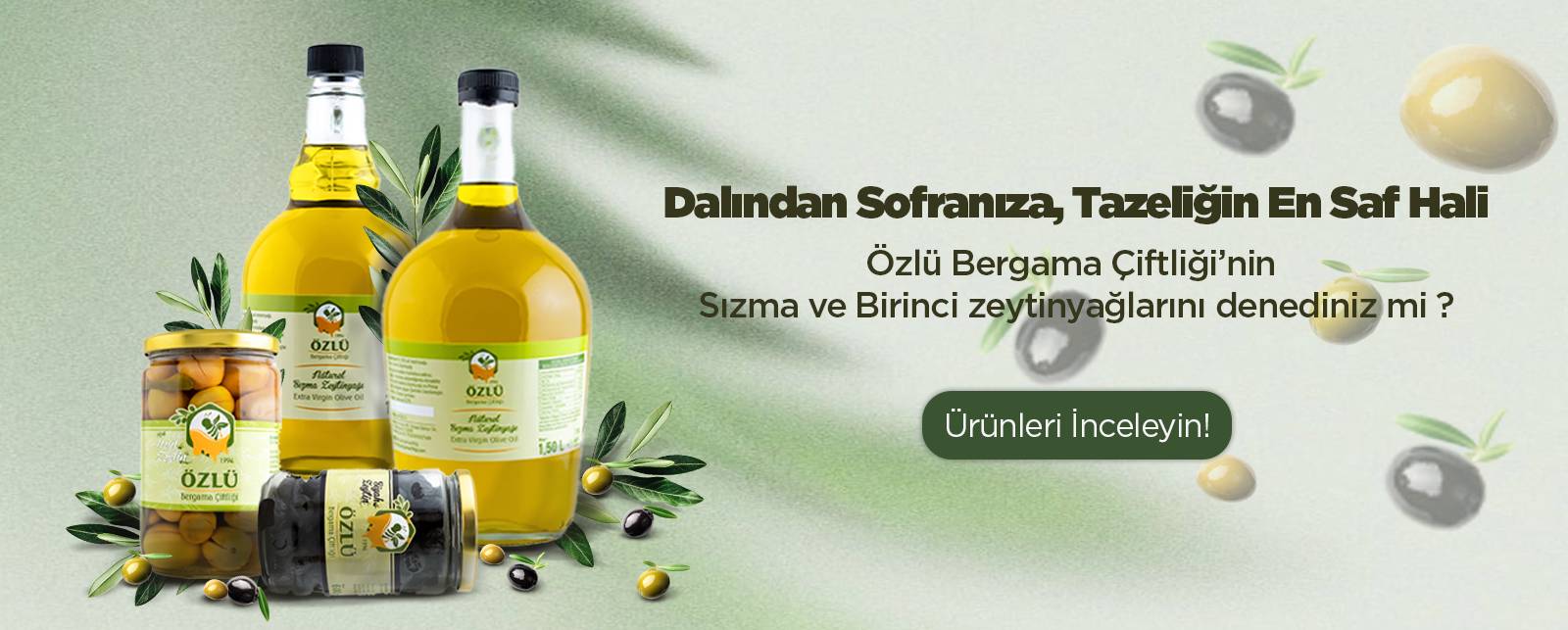 Özlü Bergama Çiftliği