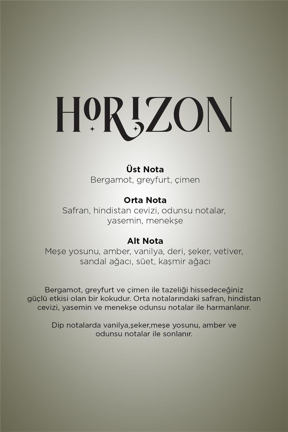 Horizon Maxx Tower 750-X Koku Kartuşu 100 ML Premıum Seri