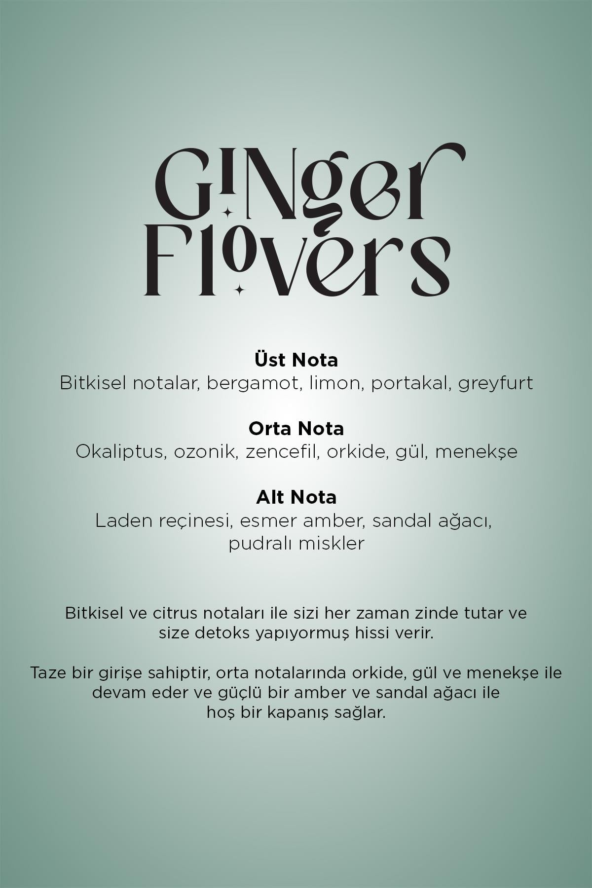 E2 Power Eco Koku Makinesi ve Ginger Flowers E2 Power Koku Kartuşu 125 ML Seti