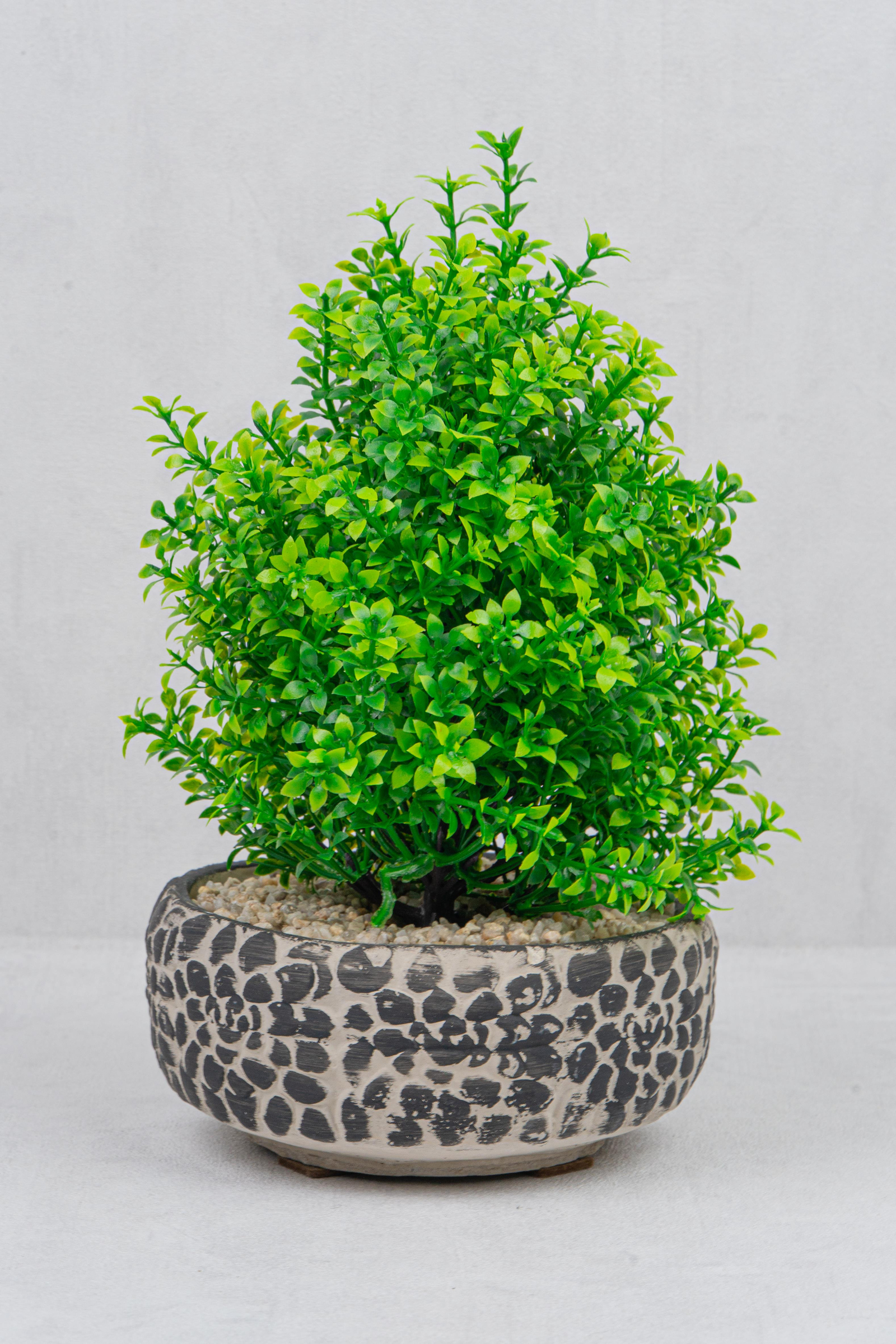 DekuvaDEKORATİF ÇAKIL AĞAÇ SİYAHMONDECOR BJE002