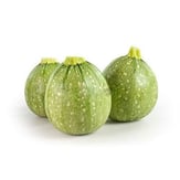 Girit Kabağı, Antalya (500 gr) görseli.