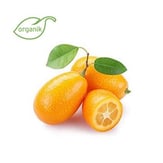Organik Kumkuat (150 gr) Talat Çelik Bahçesi Mersin görseli.