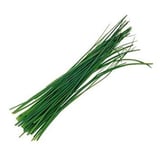 Organik Frenk Soğan (100 gr, paket) görseli.
