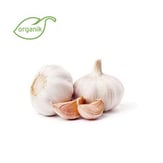 Organik Baş Sarımsak (250 gr) Ersöz Bahçesi Afyon görseli.
