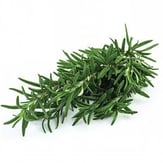 Biberiye (25 gr) Greenada görseli.