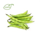 Organik Bakla (500 gr) Pulur Organik Yalova görseli.
