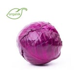 Organik Kırmızı Lahana (1 kg) Kurtdoğmuş Çiftliği görseli.