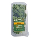 Kişniş (25 gr) Medel Greens görseli.
