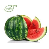 Organik Karpuz (6 kg) Salih Özkan Çiftliği Bursa görseli.