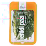 Renkli Pazı (100 gr) Plant Factory görseli.