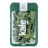Yeşil Kale (100 gr) Plant Factory görseli.