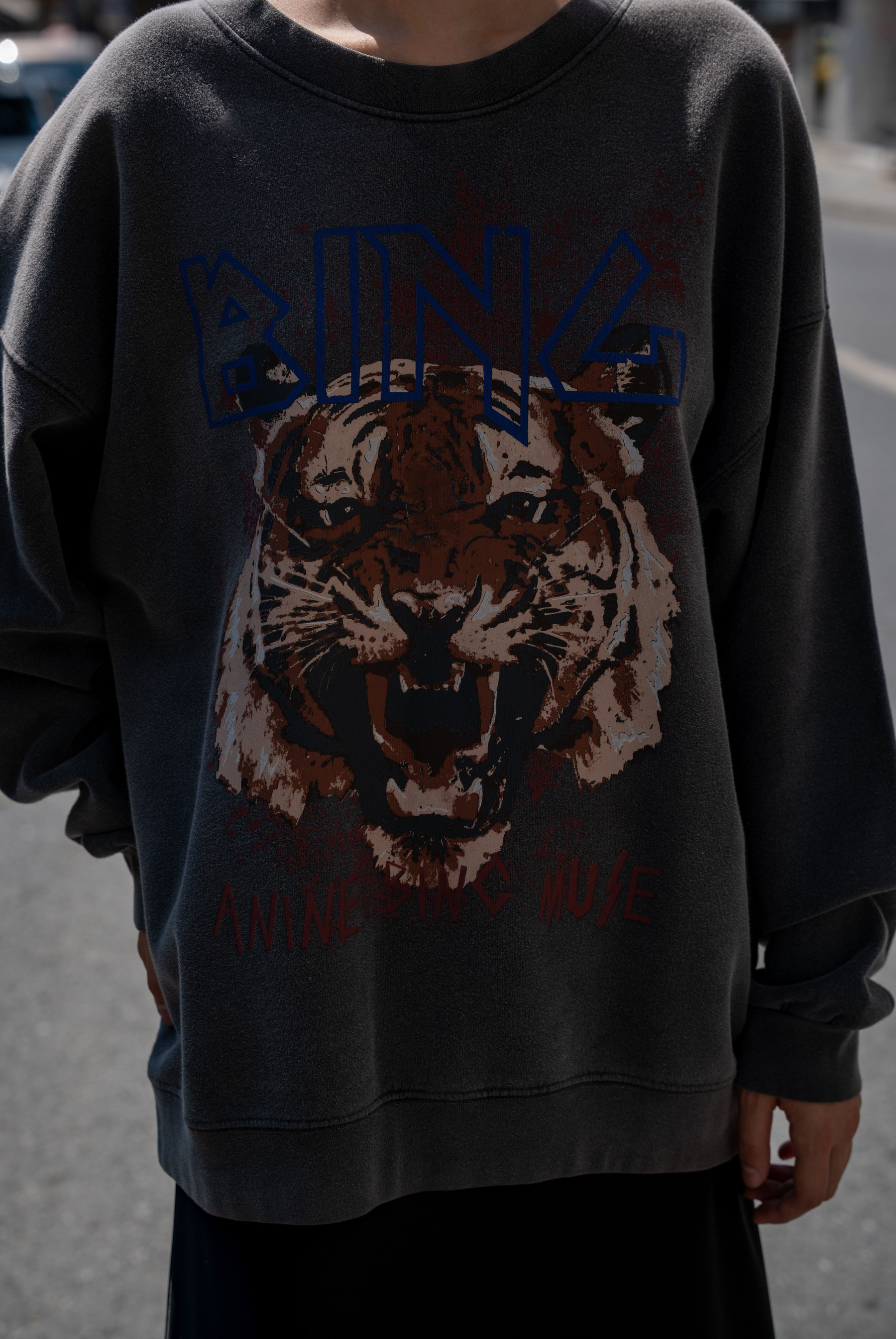 Kadın AB Aslanlı Sweatshirt