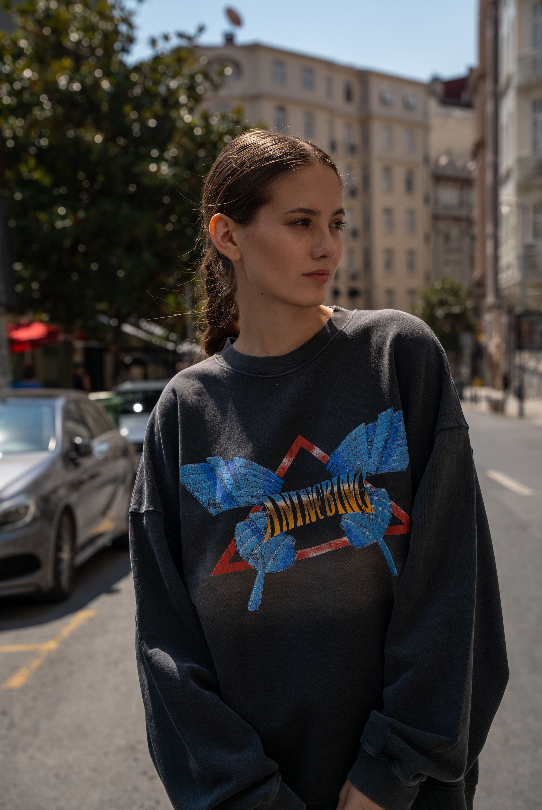 Kadın AB Harvery Crew Butterly Sweatshirt