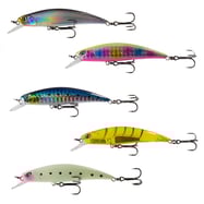 Ryuji S 70mm Hard Bait Lrf Maket Balık