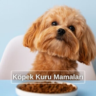 Köpek Kuru Mamaları