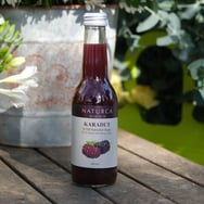 %100 Meyve Suyu Karadut 250 ml Naturca görseli.