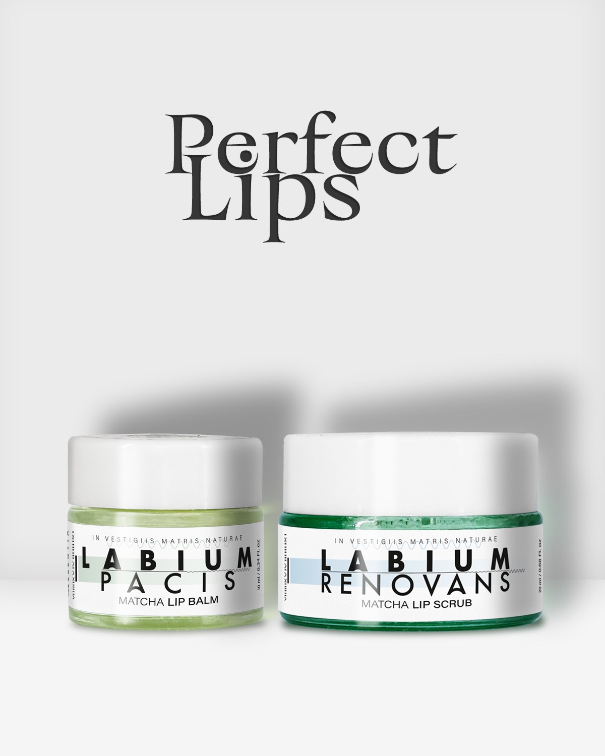 PERFECT LIPS