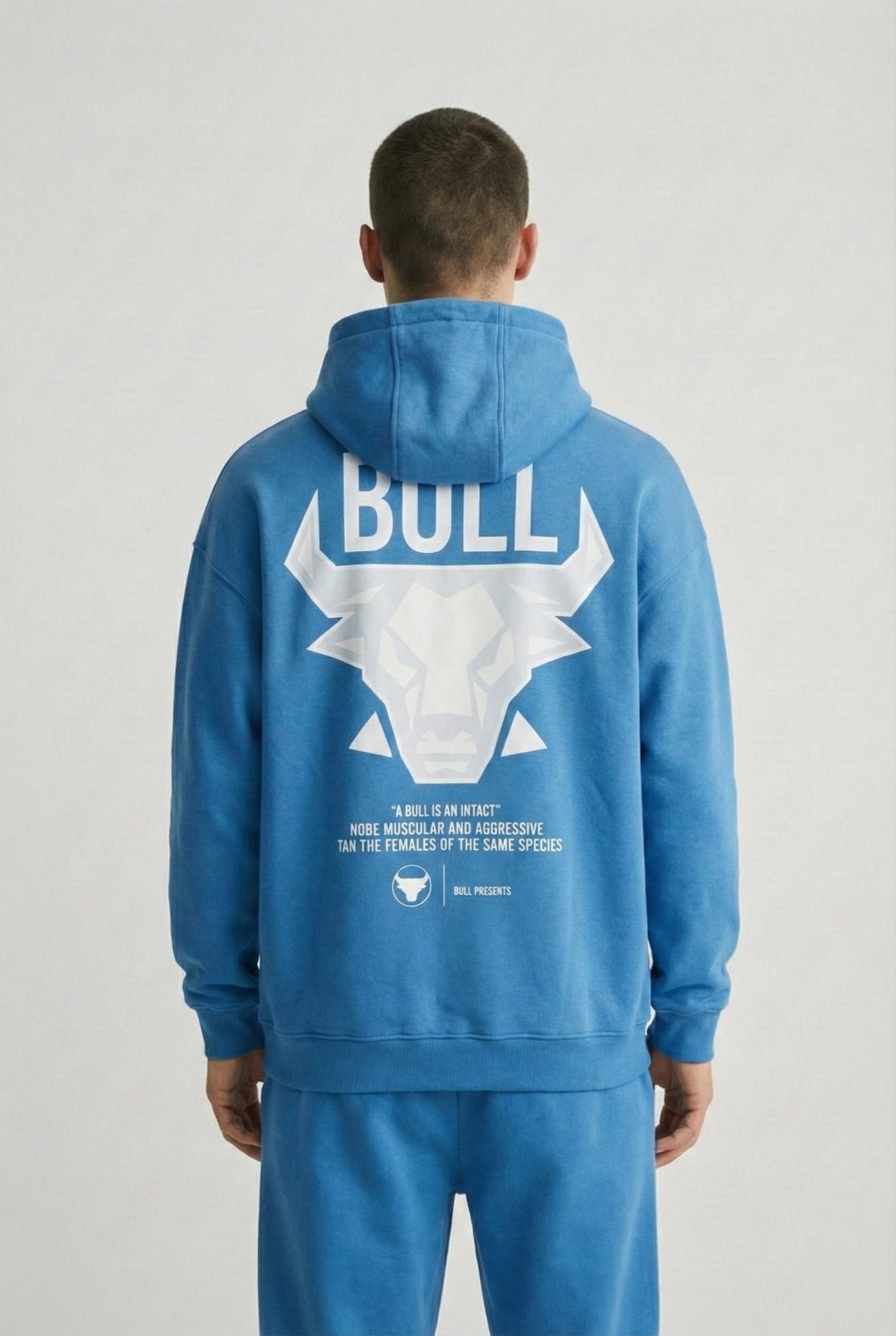 Erkek Oversize Bull Baskılı Hoodie Mavi