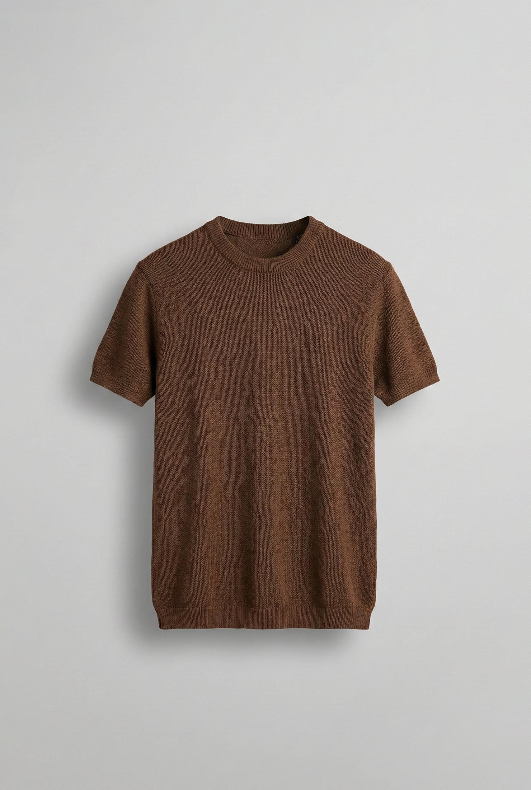 Erkek Regular Fit Bisiklet Yaka Esnek Triko T-Shirt Kahve