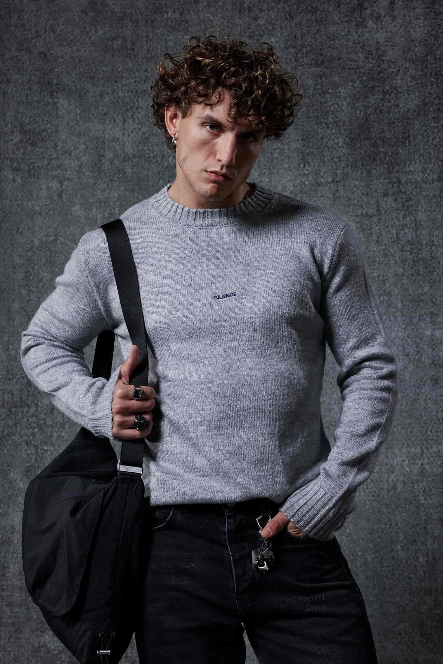 Erkek Regular Fit Bisiklet Yaka Kazak Gri