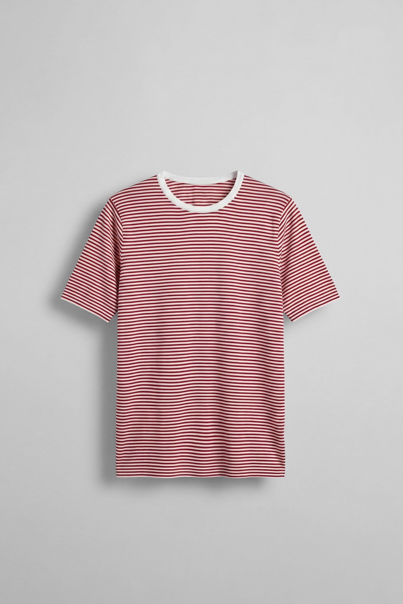 Erkek Regular Fit Çizgili Basic T-Shirt Kırmızı