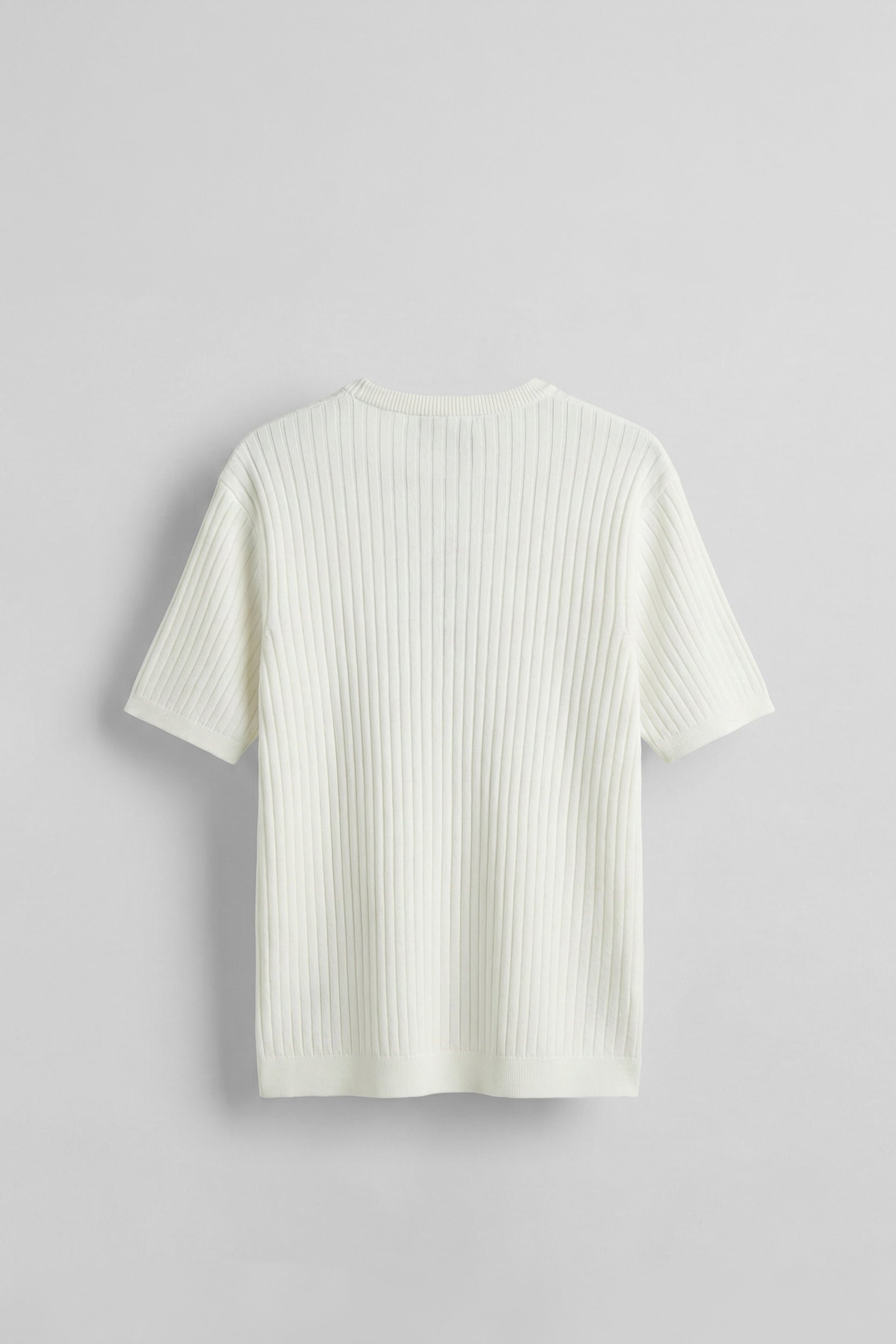 Erkek Regular Fit  Premium Fitilli Triko T-Shirt Ekru