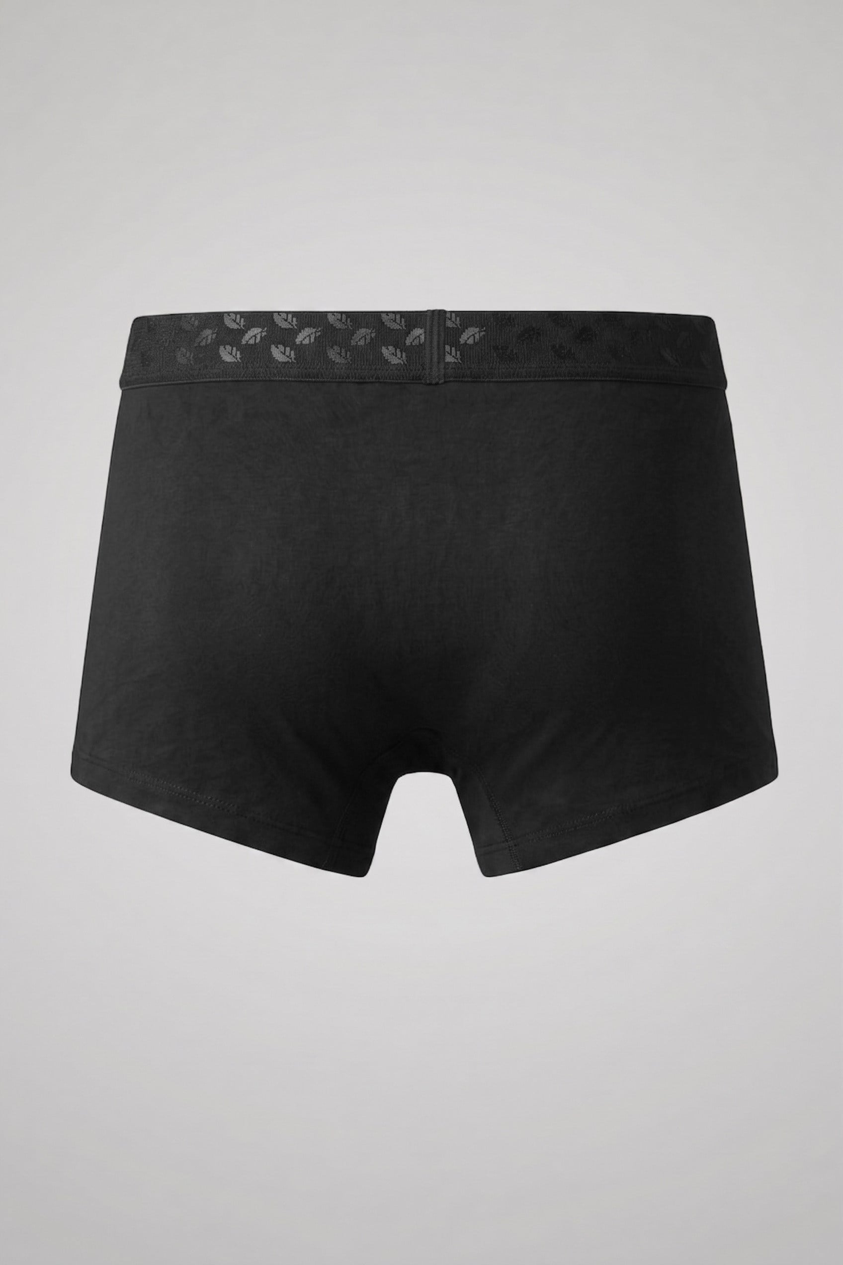 Erkek Torbalı Yumuşak Dokulu Modal Boxer Siyah