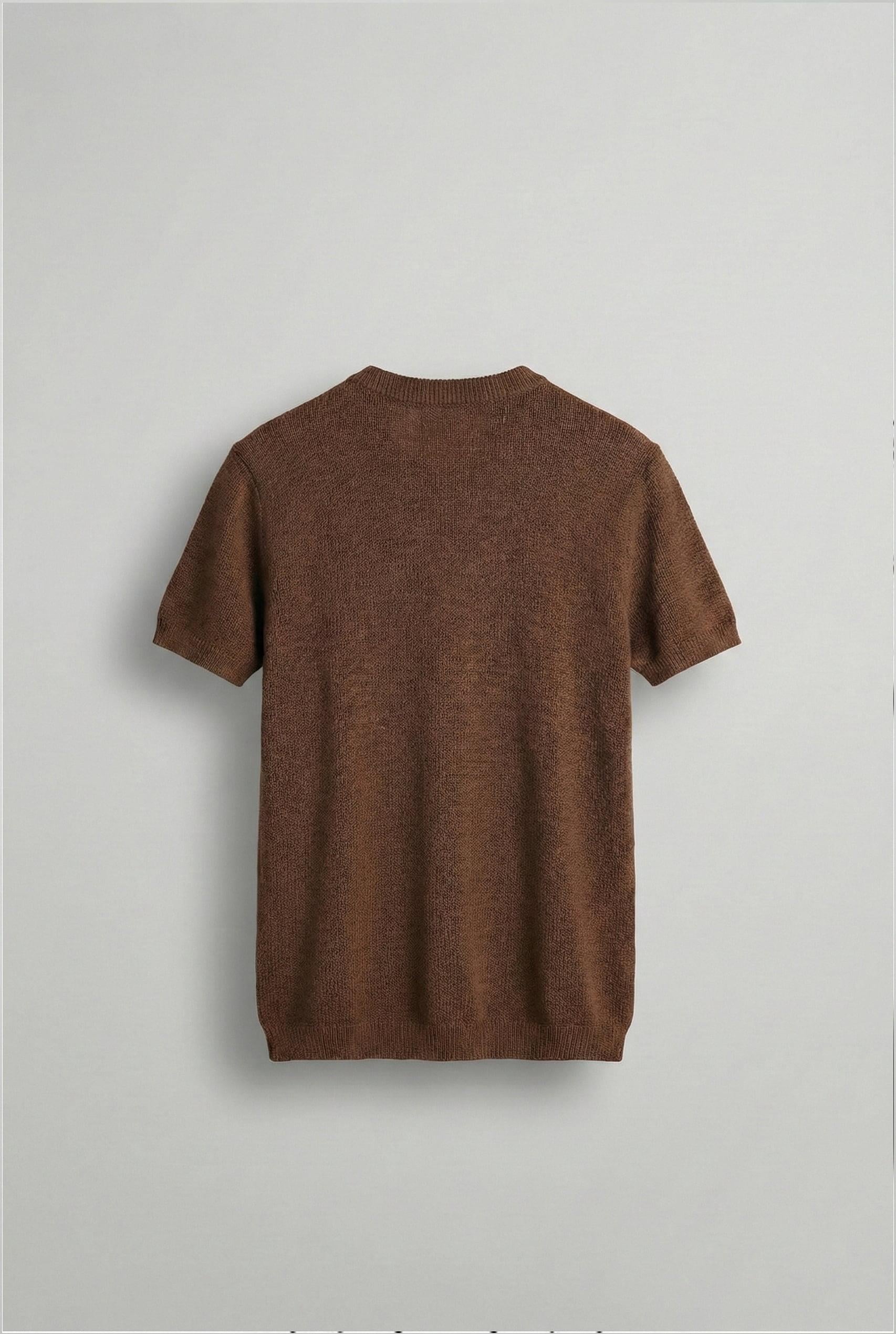 Erkek Regular Fit Bisiklet Yaka Esnek Triko T-Shirt Kahve