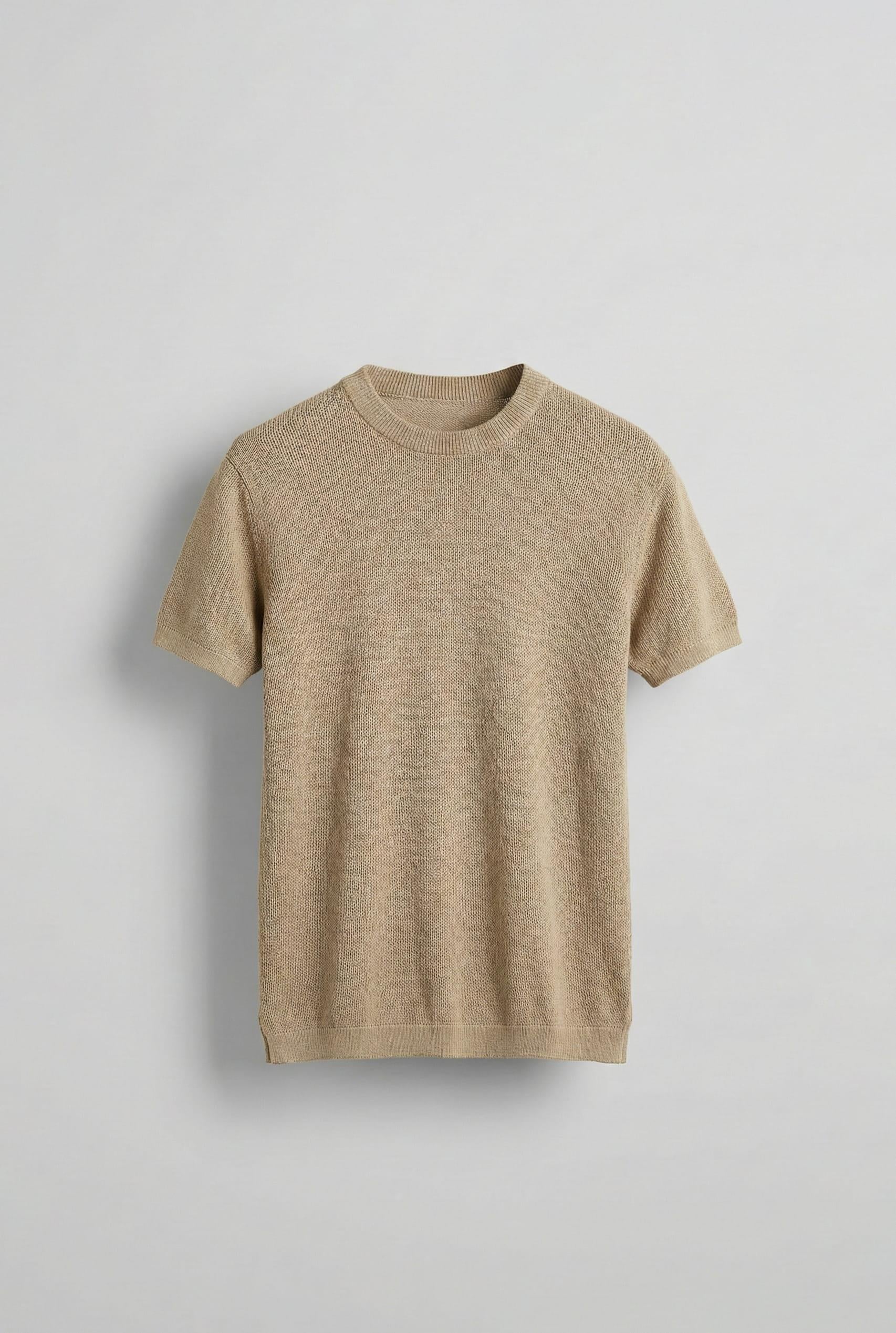 Erkek Regular Fit Bisiklet Yaka Esnek Triko T-Shirt Bej