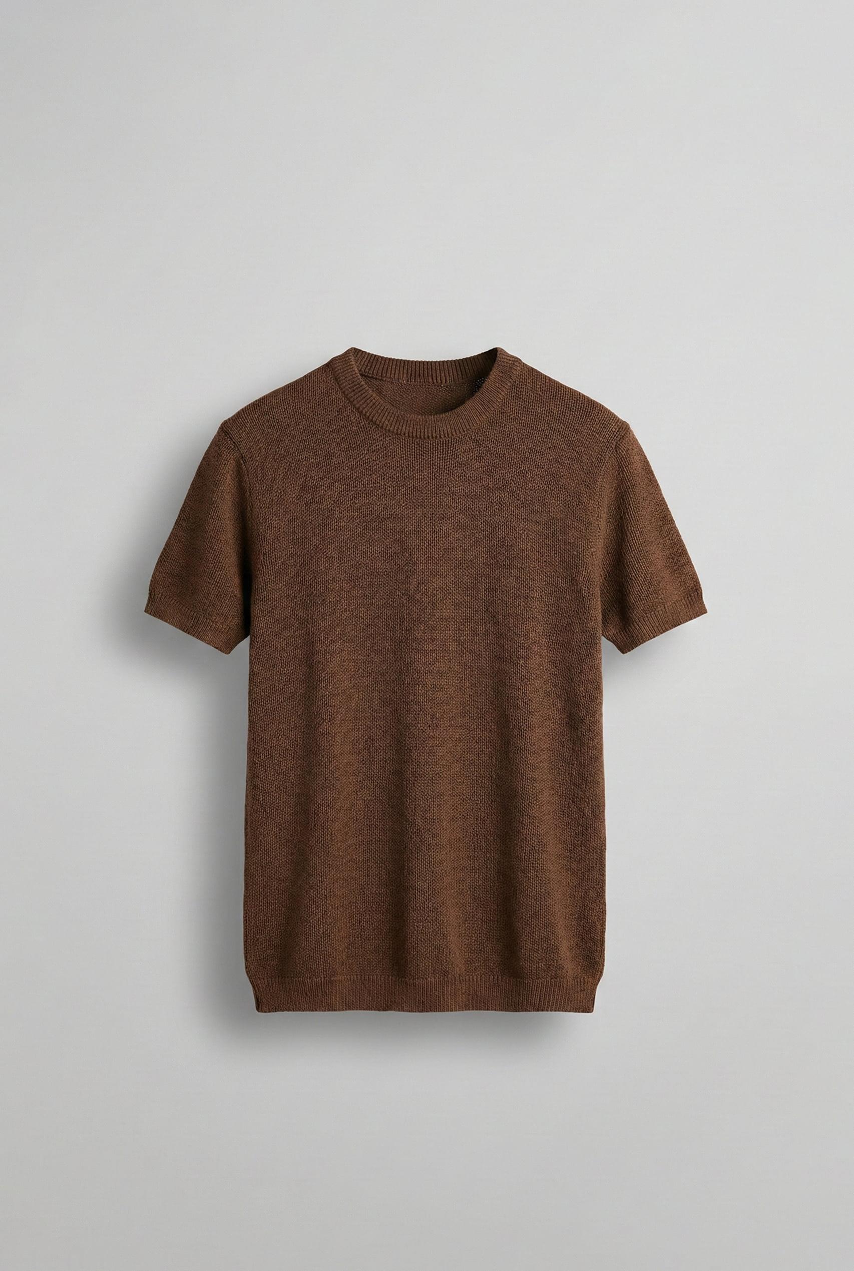 Erkek Regular Fit Bisiklet Yaka Esnek Triko T-Shirt Kahve