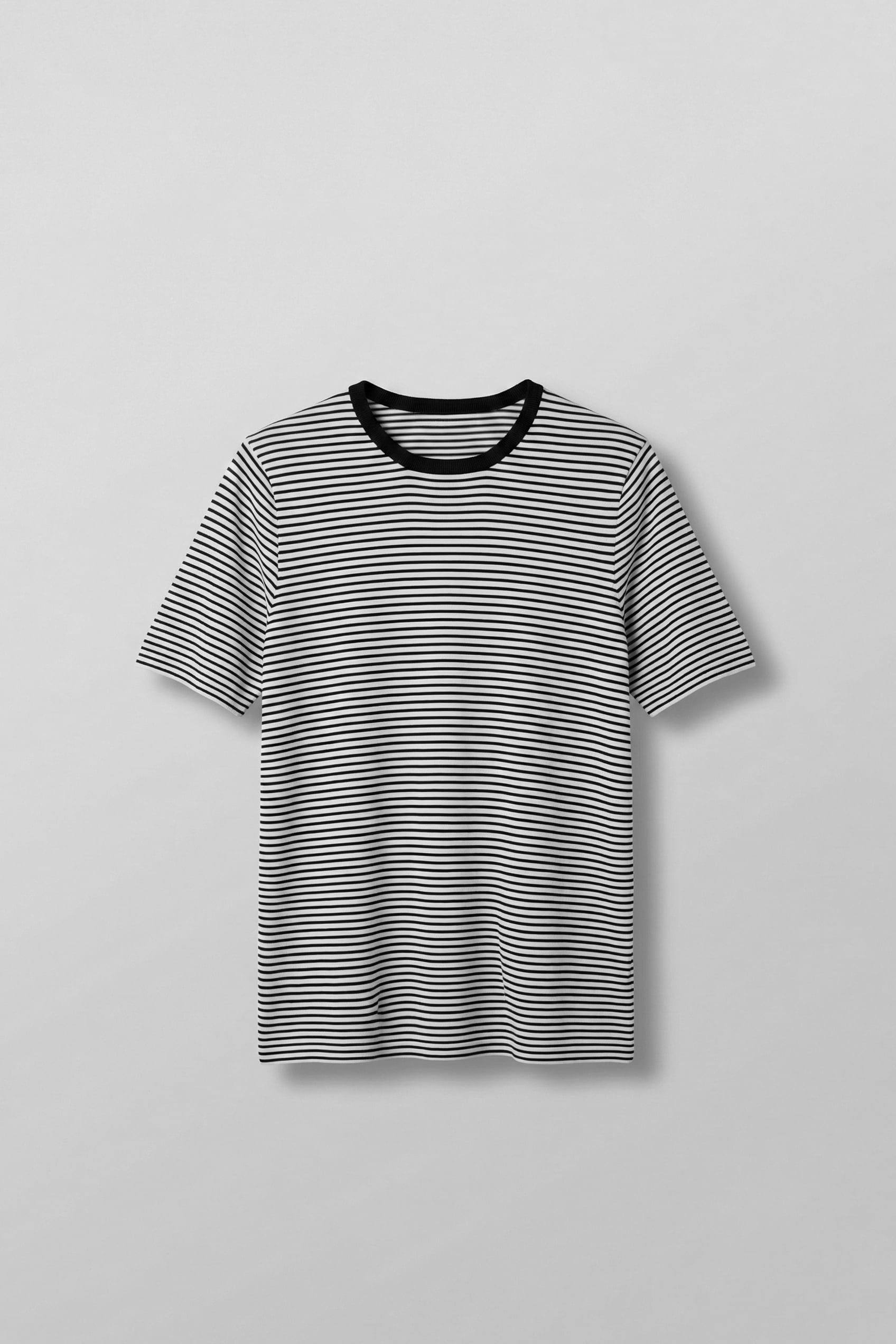 Erkek Regular Fit Çizgili Basic T-Shirt Ekru