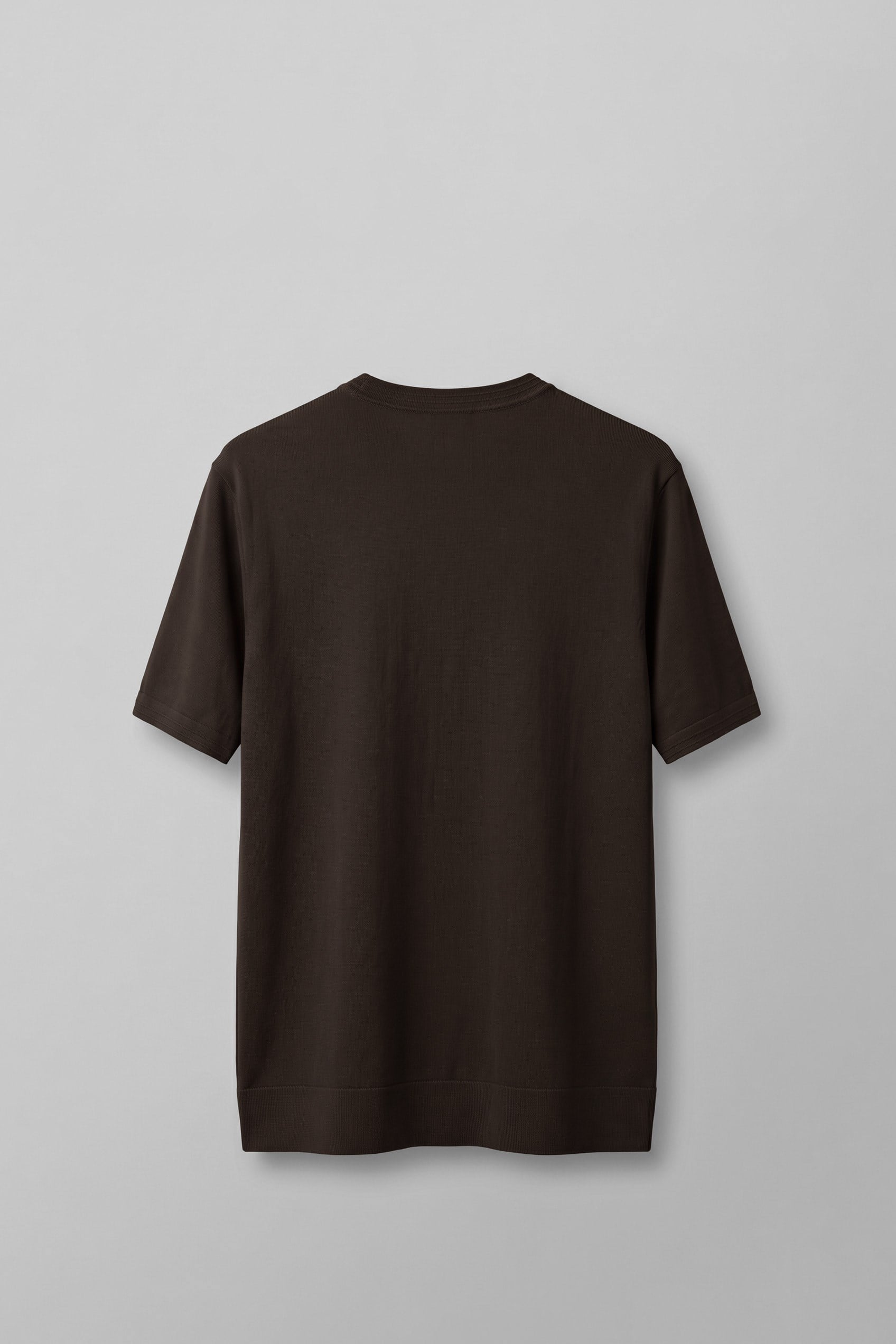 Erkek Slim Fit Bisiklet Yaka Triko Yaka T-Shirt Kahverengi