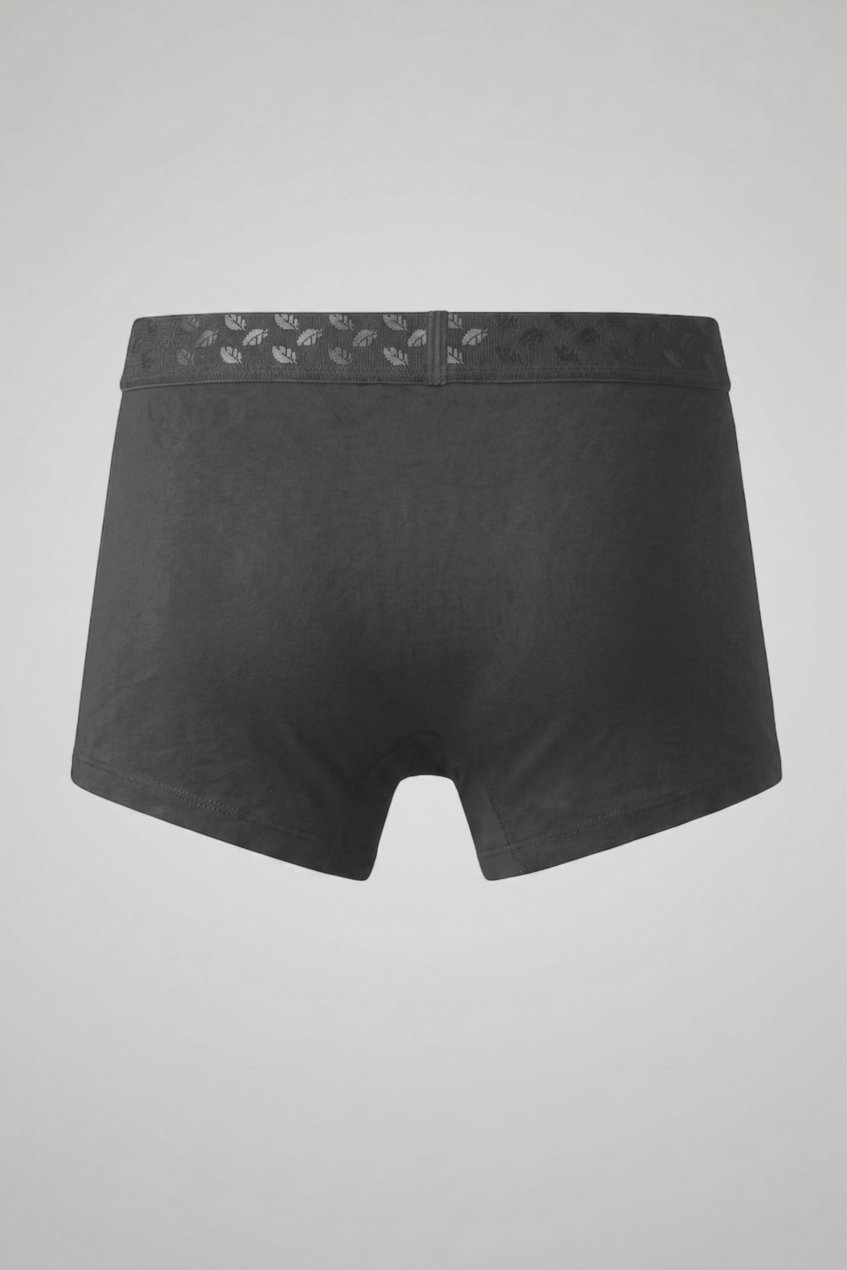 Erkek Torbalı Yumuşak Dokulu Modal Boxer Füme