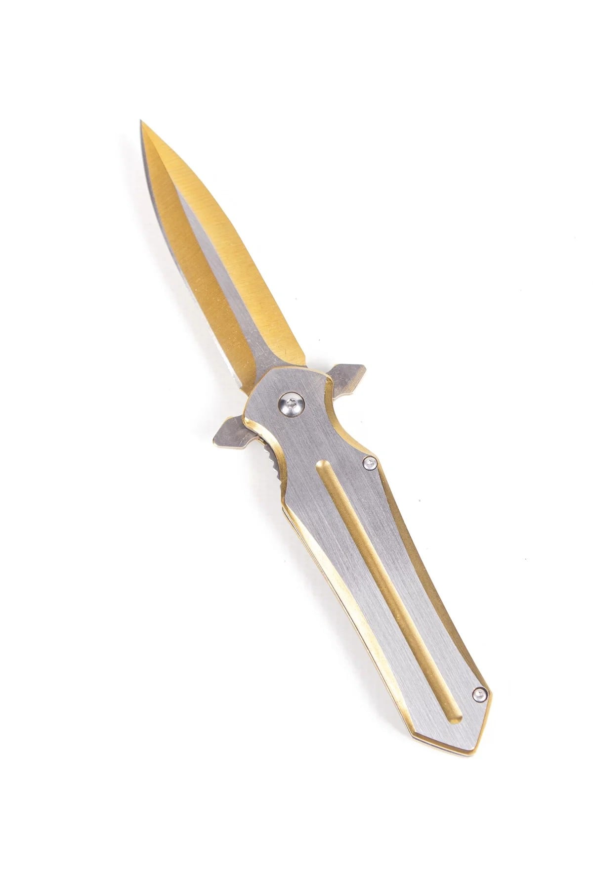 Bicak 1